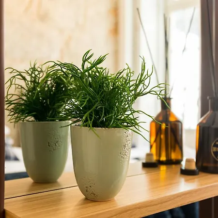 Lejlighed In Between Exclusive Charm By The Center *